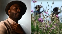 (BPRW) ‘The Color Purple’ Feature Musical: ‘Black Is King’s Blitz Bazawule Set To Direct